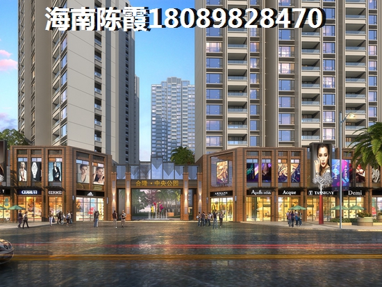 海南保亭哪个地段touzi房产前景