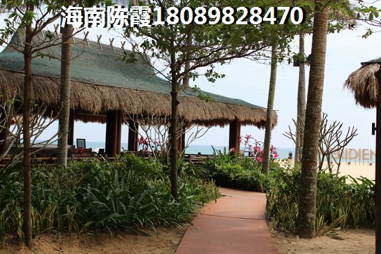 旅行者火主