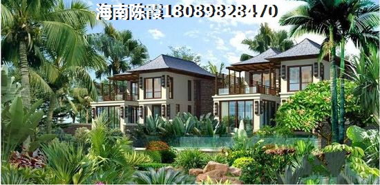 牛哥牛哥什么歌词