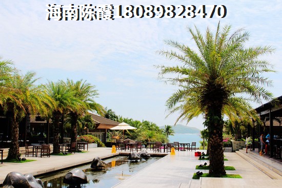 分开四年后又在一起