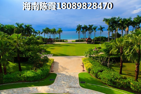 兔宝宝起名少祺好听吗