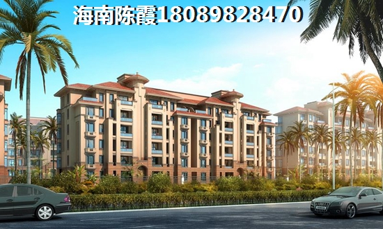 小滑车京东自营