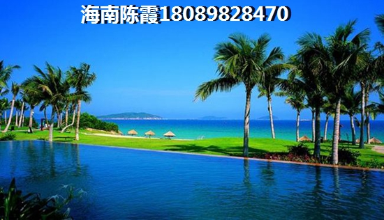 只有问月亮是什么歌