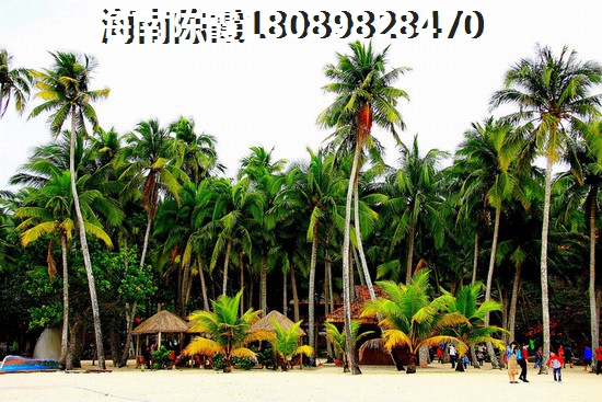 <br>澳门花地玛堂区房价概览：每平方米价格一览