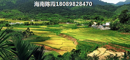 物业管家捡纸板违法吗 物业管家捡纸板违法吗