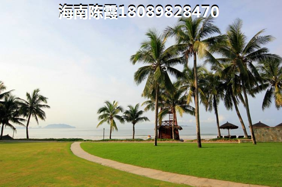 青椒炒蘑菇炒豆皮家常做法 青椒炒蘑菇炒豆皮家常做法